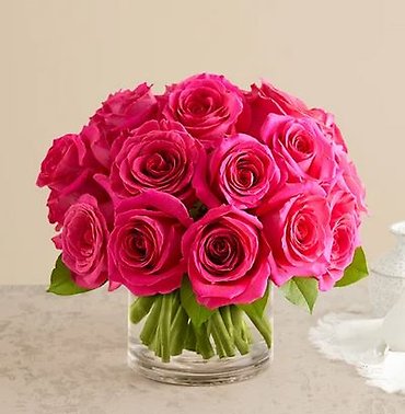 Fuschia Femme
