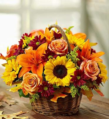 Fields of Europe for Fall Basket