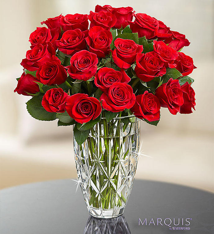 Marquis of Red Roses