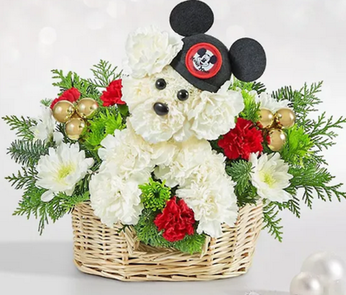 Disney Mickey