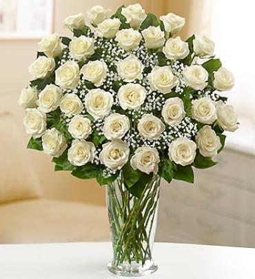 Ultimate Elegance with White Roses