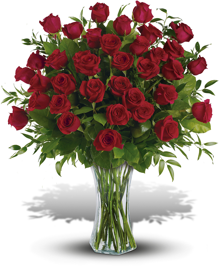 3 Dozen Long Stemmed Roses