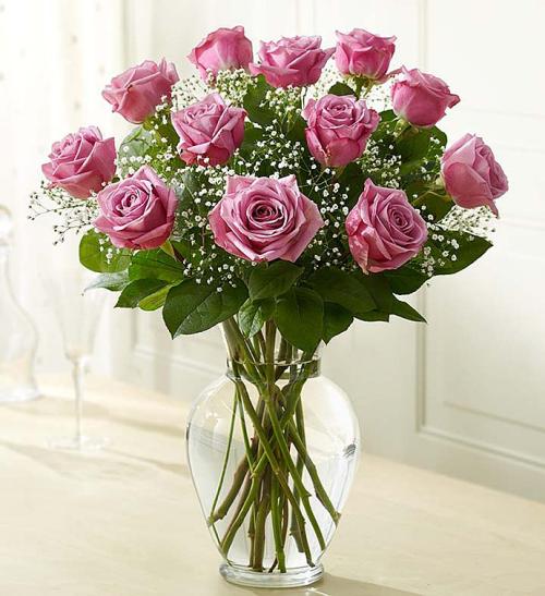 Rose Elegance Premium Long Stem Purple Roses