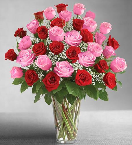 Ultimate Elegance Pink & Red Roses