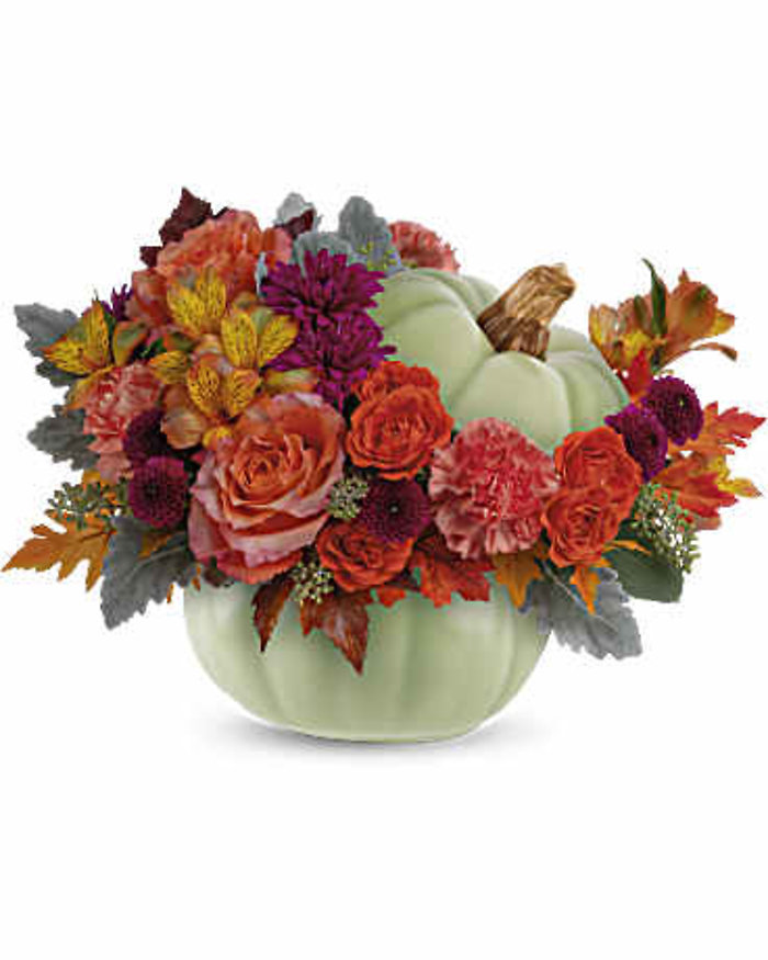 Sage Pumpkin