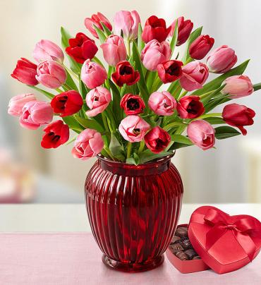 Sweetest Love Tulips