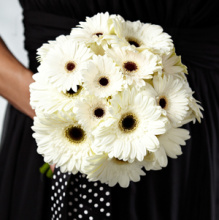 Gerbers Galore Bridal Bouquet