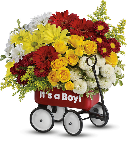 Baby\'s Wow Wagon - Boy