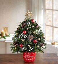 Merry Little Christmas Holiday Flower Tree