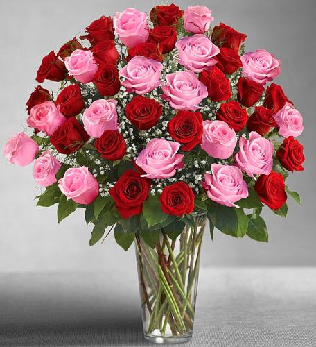 Ultimate Elegance Pink & Red Roses