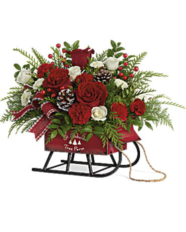 Vintage Sleigh Red & White