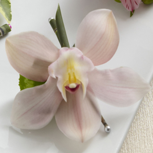 Cymbidium Orchid Boutinere