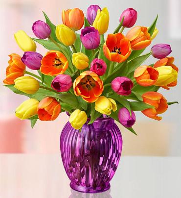 Assorted Tulips