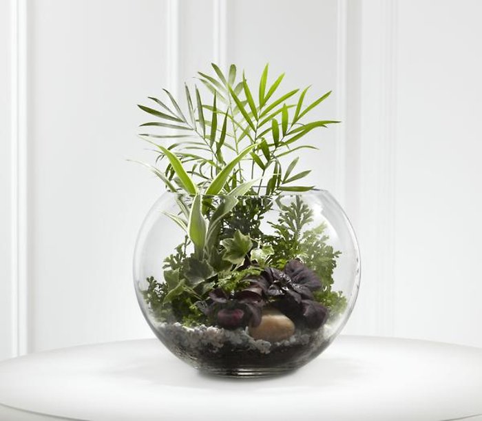 Woodland Terranium