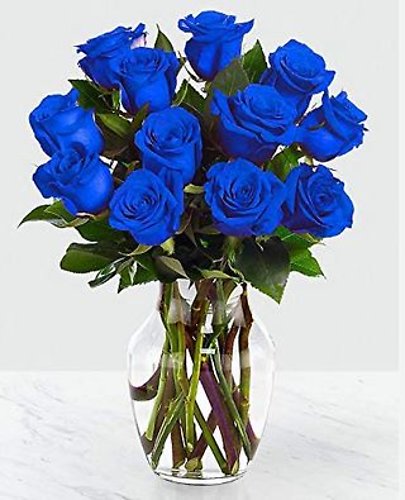 Dozen Blue Roses