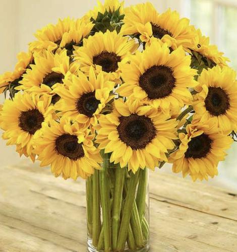Sunflower Smiles