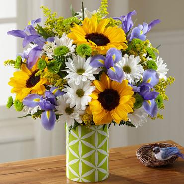 The Sunflower Sweetness