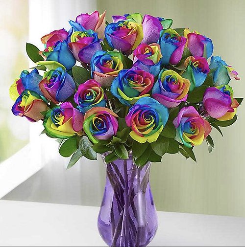 Rainbow Roses