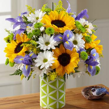 The Sunflower Sweetness