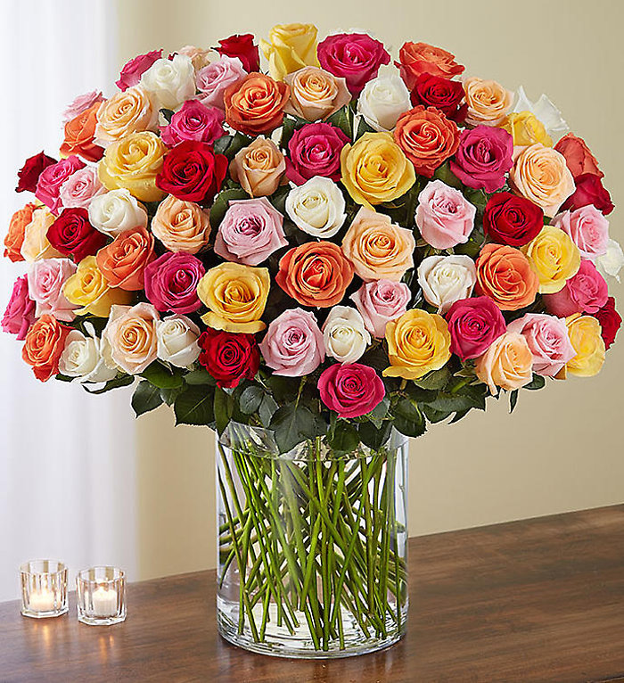 100  Stem Multicolored Roses