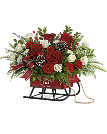 Vintage Sleigh Red & White