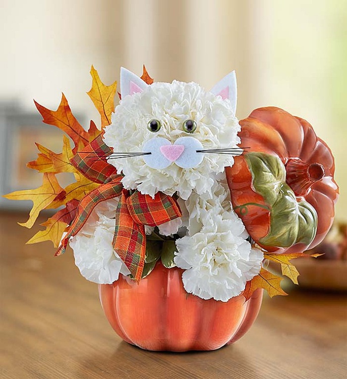 Fabulous Feline for Fall