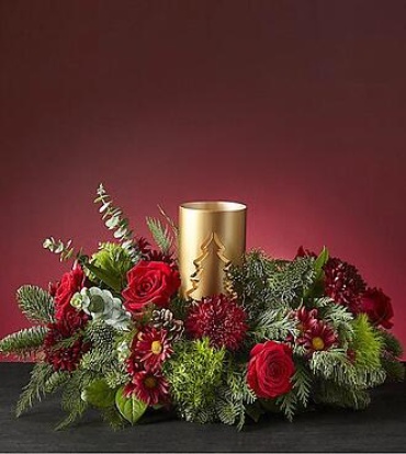 Beauty Of Christmas
